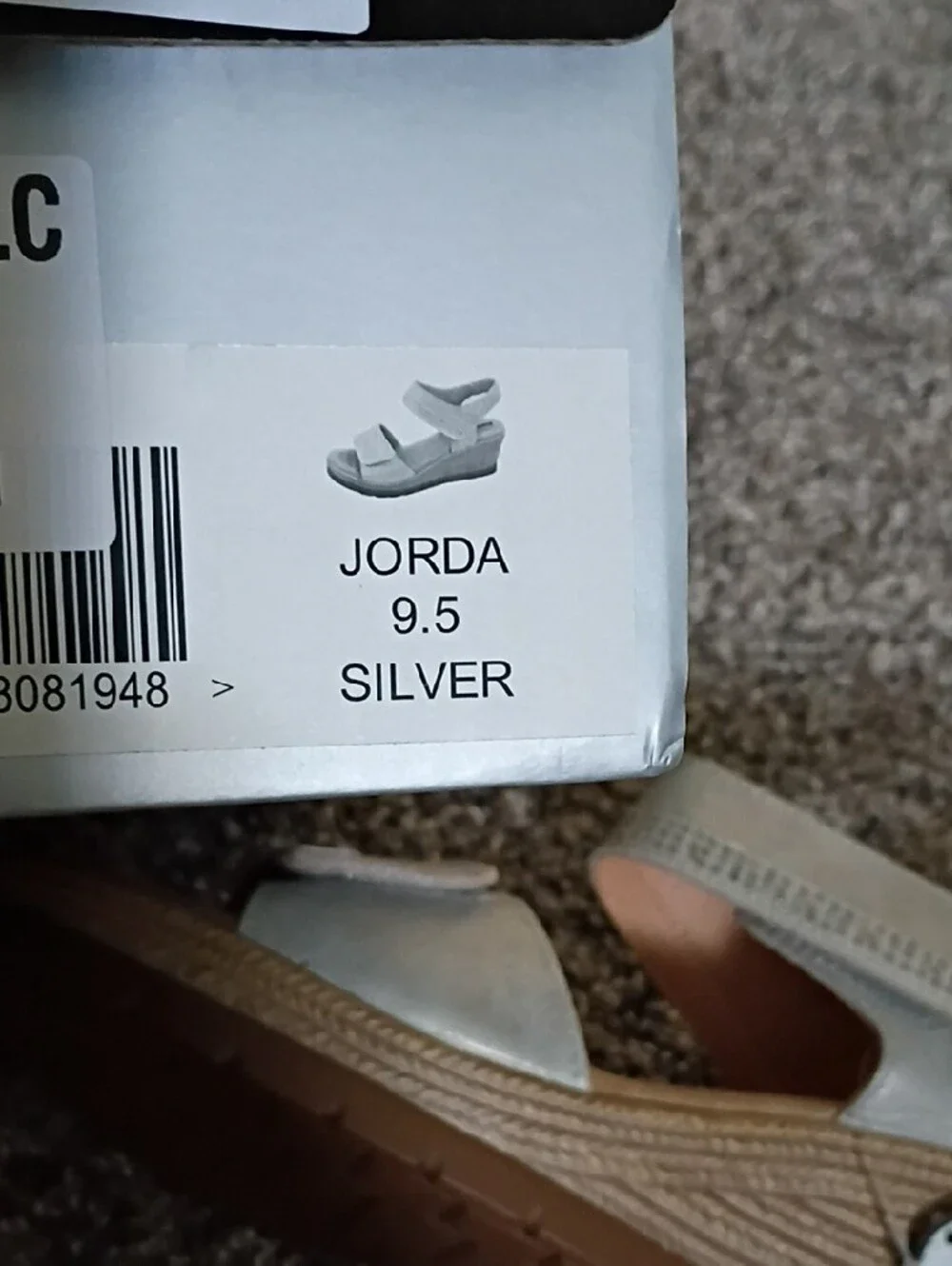 Good Choice Metallic Silver Wedge Sandals with Tan Platform